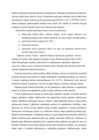 Medienos impregnavo paveikslėlis - aprašytas paviršiaus paruošimo schema