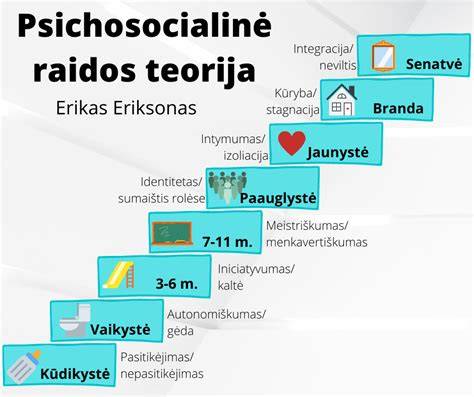 Infografika apie drožlių dozavimo į alų skirtingais etapais