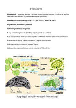 Gruntavimo proceso schema