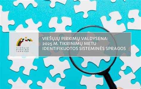 Grafikas: 2024 m. tyrime identifikuotos balanso klaidos dažnumas