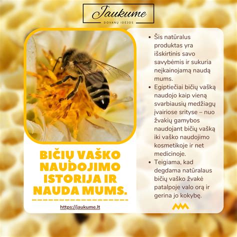 Infografika: Vaško naudojimo žingsniai grindims