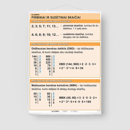 Infografika: Konstitucinių principų tipai (pirminiai, sudėtiniai, išvestiniai) ir jų tarpusavio ryšiai