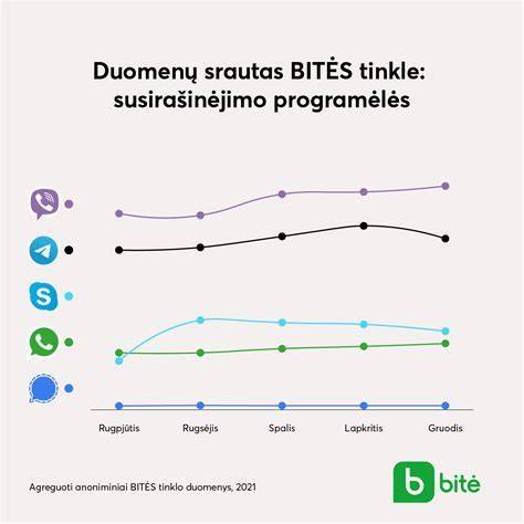 Infografika: Slapukų tipai ir duomenų srautų schema