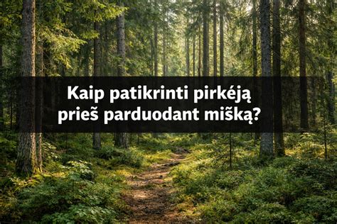 Bandymo plotas: kaip patikrinti spalvos pasirinkimą prieš pilną dažymą