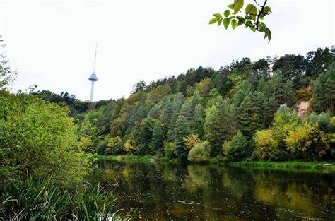 Karoliniškių gamtos draustinio panorama žiemą