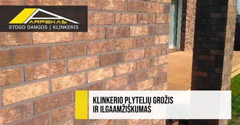 Infografika: klinkerio diferenciacijas, degimo temperatūras ir ilgaamžiškumo jausmą
