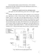 Azoto rūgšties bakų technologinė schema