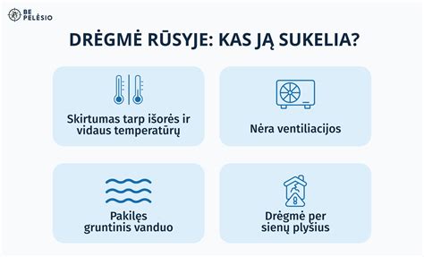 kas_metai_issilikimas_drėgmė_ir_siltinimas
