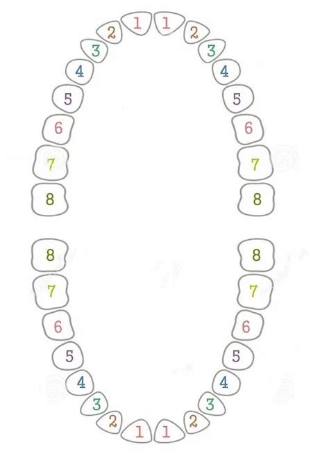 Schema, kaip dedamas dantų laminatas