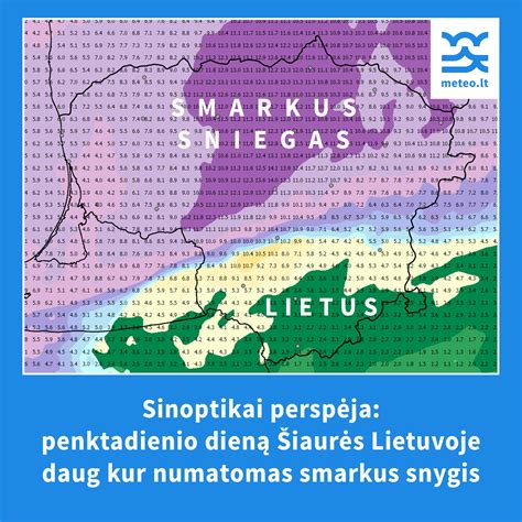 Mapė: Faneros krypčių pasirinkimo rekomendacijos atsižvelgiant į projektą