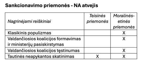 Vizualinė schemos iliustracija apie LMDP sandarą ir sluoksnių išsidėstymą