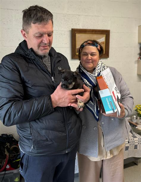 Kauno gyvūnų prieglauda