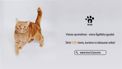 Infografika apie parazitų plitimą iš gyvūnų į žmones