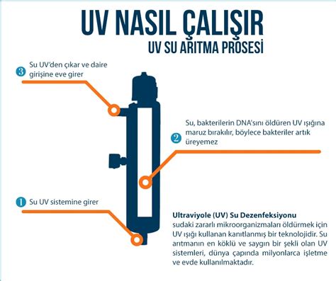 Vidaus impregnavimo pasirinkimai: antiseptikai su UV filtru