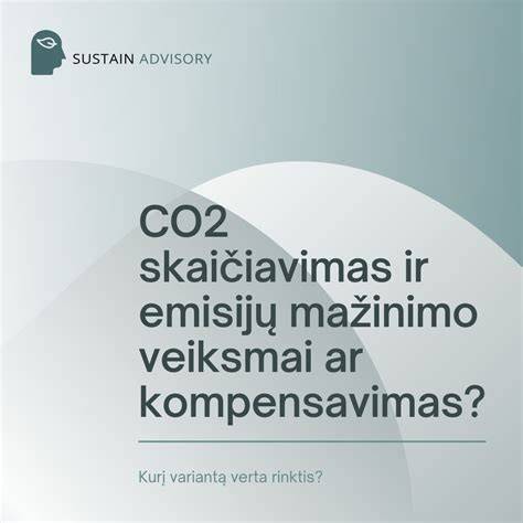 CO2 emisijų mažinimo schemos iliustracija