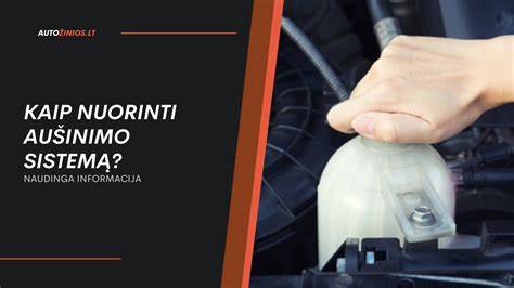 Infografika: Kaip veikia nešiojamojo kompiuterio aušinimo sistema