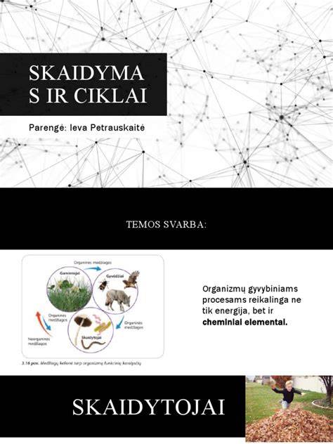 Infografika: PU vamzdžių izoliacijos skaidymas ir sluoksnių funkcijos