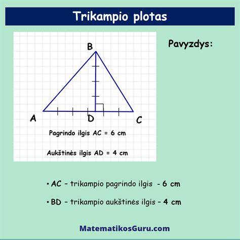 Skaičiavimo pavyzdys: šildomo ploto plotas ir atstumas
