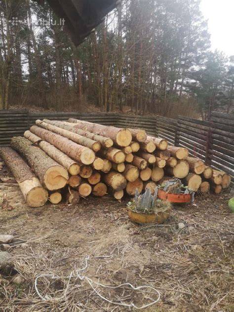 Pušies, eglės ir maumedžio pavyzdiniai statybinių projektų naudojimo scenarijai