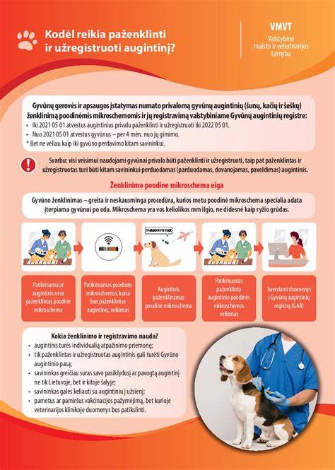 Infografika: šunų ir kačių elgesio paaiškinimas
