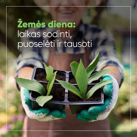 Infografika apie šaltojo asfalto naudojimą: įrankiai, eismo palaikymas, užpildymo technika