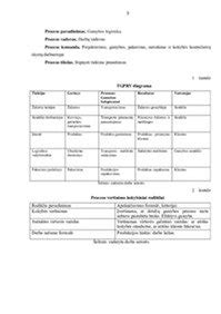 Diagrama: gamybos apimtys ir įmonės pajėgumai
