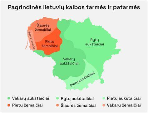 Infografika: Balsių ir priebalsių skirstymas lietuvių kalboje