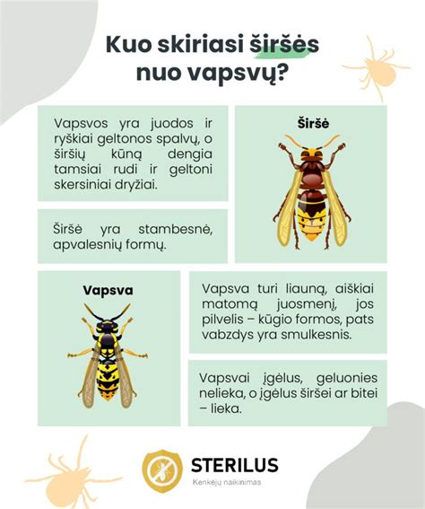 Infografika: kaip skiriasi gruntų sudėtis ir jų tikslai