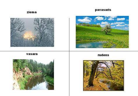 Infografika: Baldų priežiūros sezonai - pavasaris, vasara, ruduo, žiema
