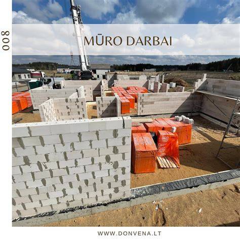 infografika_mūro_darbai.jpg