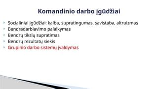 Komandos darbo principai