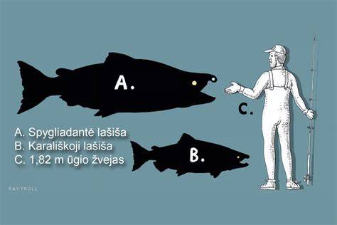 Infografika: Švirkštų dydžių palyginimas ir dalys