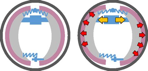 Infografika: Diskinių vs Būgninių smulkintuvų veikimo schema