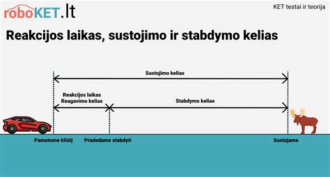 Infografika: skiedinio paruošimo ir dėmių stabdymo principas