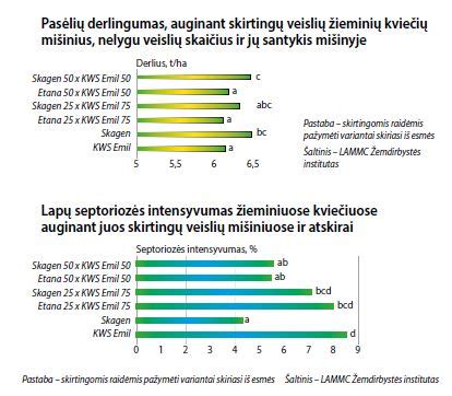 Table: skirtingų mišinių savybės ir talpa