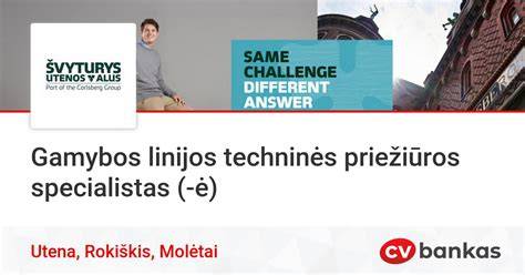 Karjero išdėstymas ir techninės linijos vizualizacija
