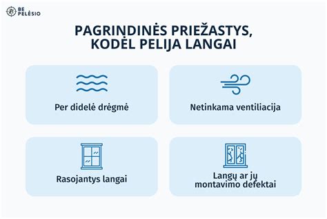 Infografika: Pelėsių atsiradimo priežastys ir jų kontrolė