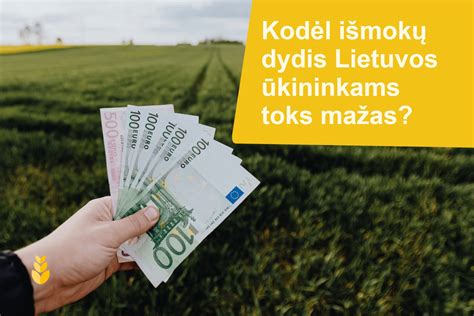 Infografika: Lyginamojo langų dydžių pasiskirstymas įvairiuose Lietuvos pastato tipuose