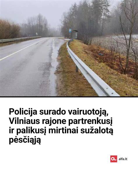 meistrui.lt filialu vietos scheminė nuoroda