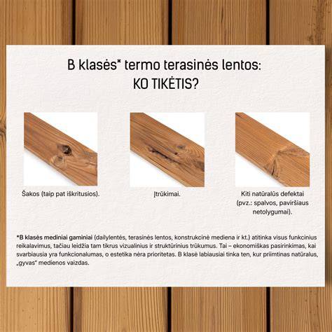 Infografika: Termo lenta vs impregnuota lenta - privalumai ir trūkumai