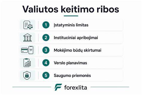 Infografika apie 5 000 Eur riba ir viršijimo pasekmes