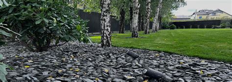 Dekoratyvinė skalda kieme