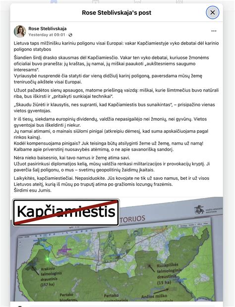 Profilio antraštės pavyzdys su raktažodiais