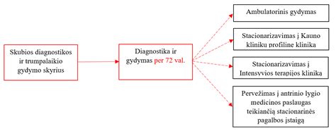 Infografika: Tinginės akies diagnostikos ir gydymo kelias