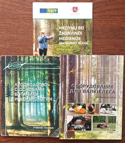 Infografika apie žaliavinės medienos sudėtį: stiebai, šakos, žievė ir jų perdirbimo srautai
