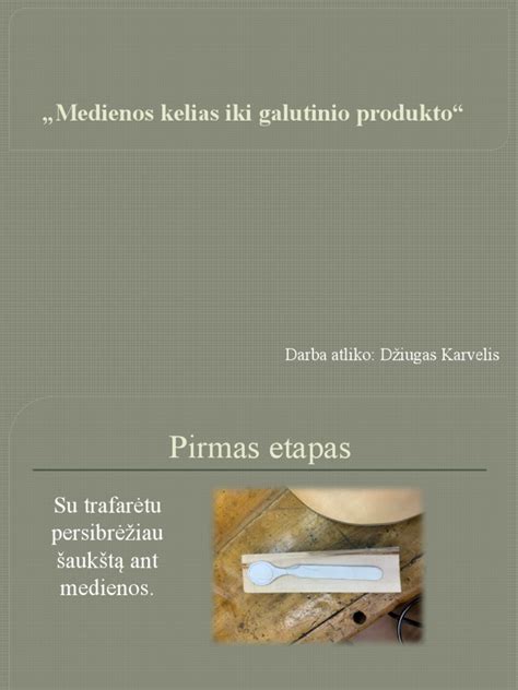 Schema: žaliavinės medienos perdirbimo grandinė nuo stiebo iki galutinio produkto