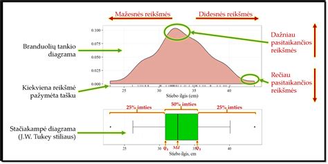 Lakų tipų palyginimas