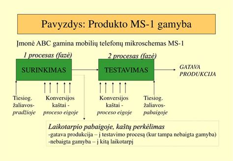 Gamybos procesas ir produktai