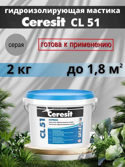 Infografika: CERESIT CL 51 taikymo zona ir džiūvimo laikas